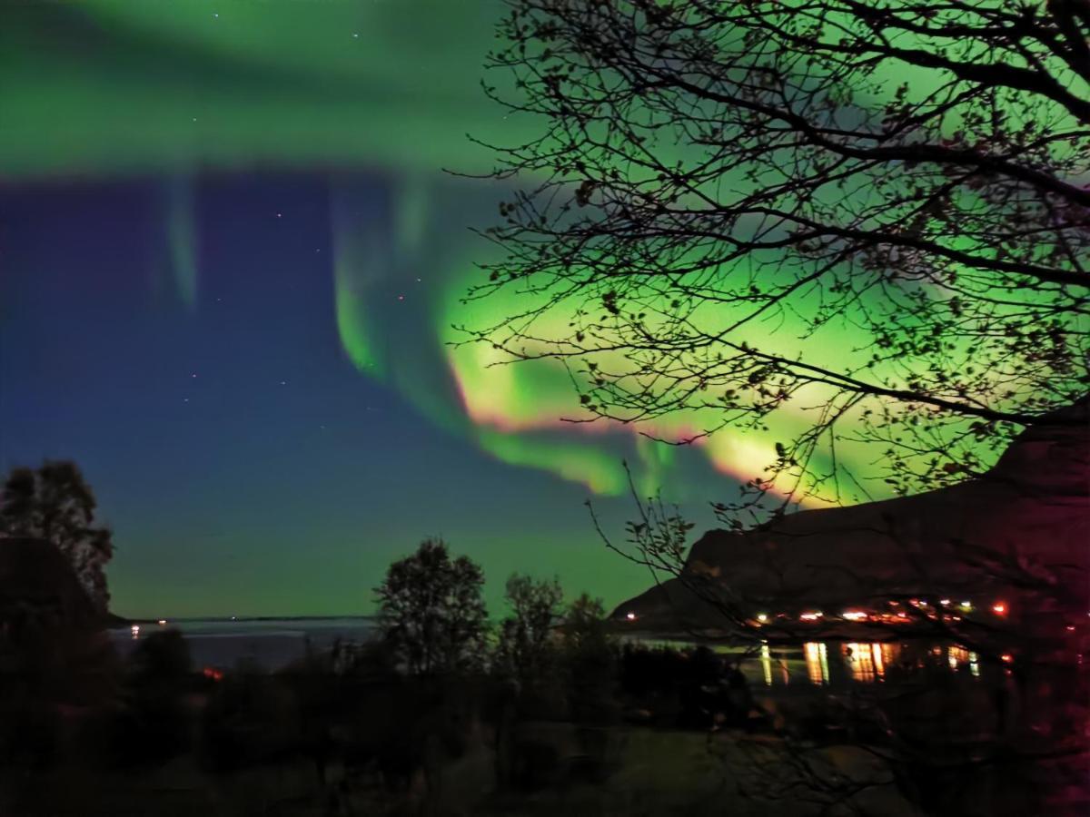 Apartmán Rystad Midnight Sun And Nature Exteriér fotografie