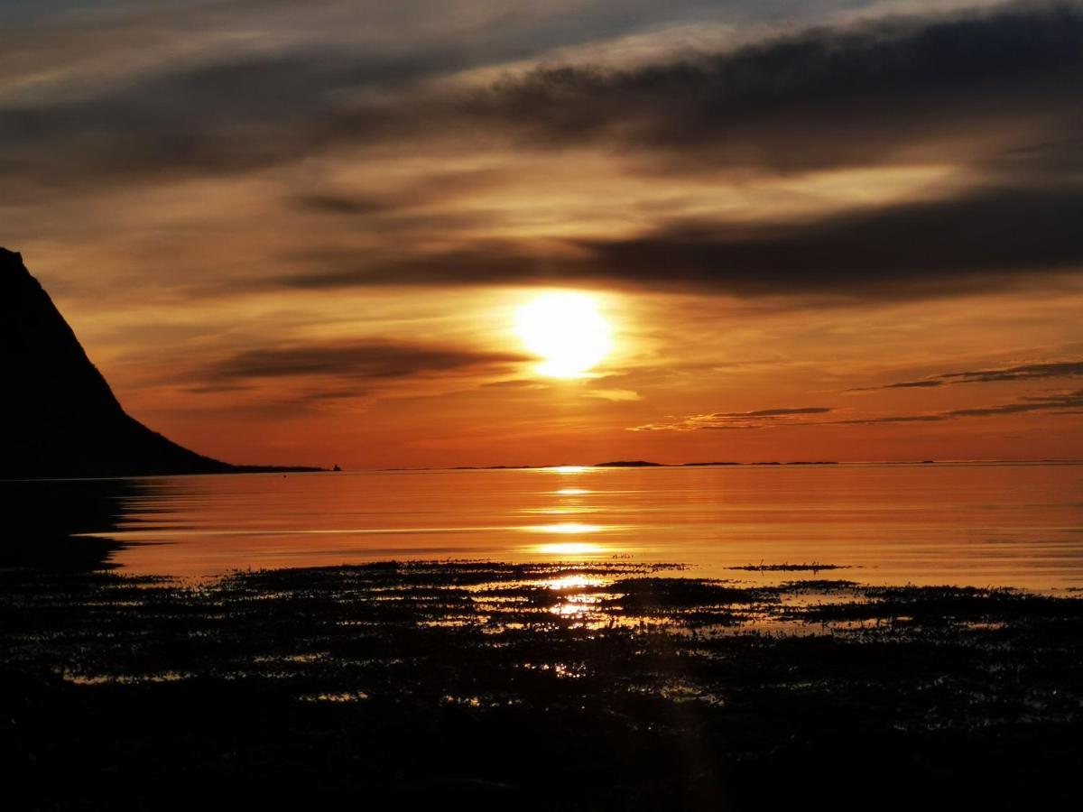 Apartmán Rystad Midnight Sun And Nature Exteriér fotografie